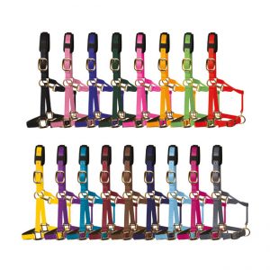 KM Elite Luxury Padded Head Collar