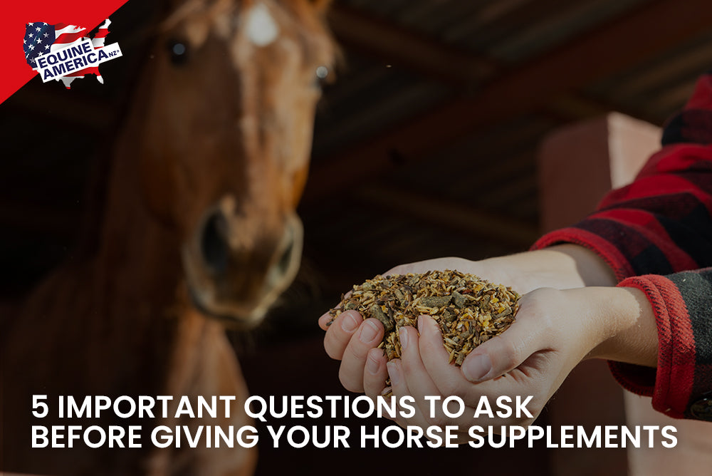 5 Important Questions to Ask Before Giving Your Horse Supplements