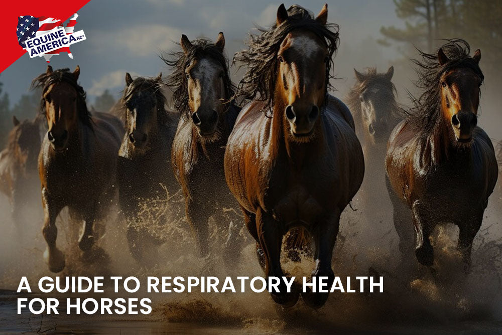 A Guide To Respiratory Health For Horses
