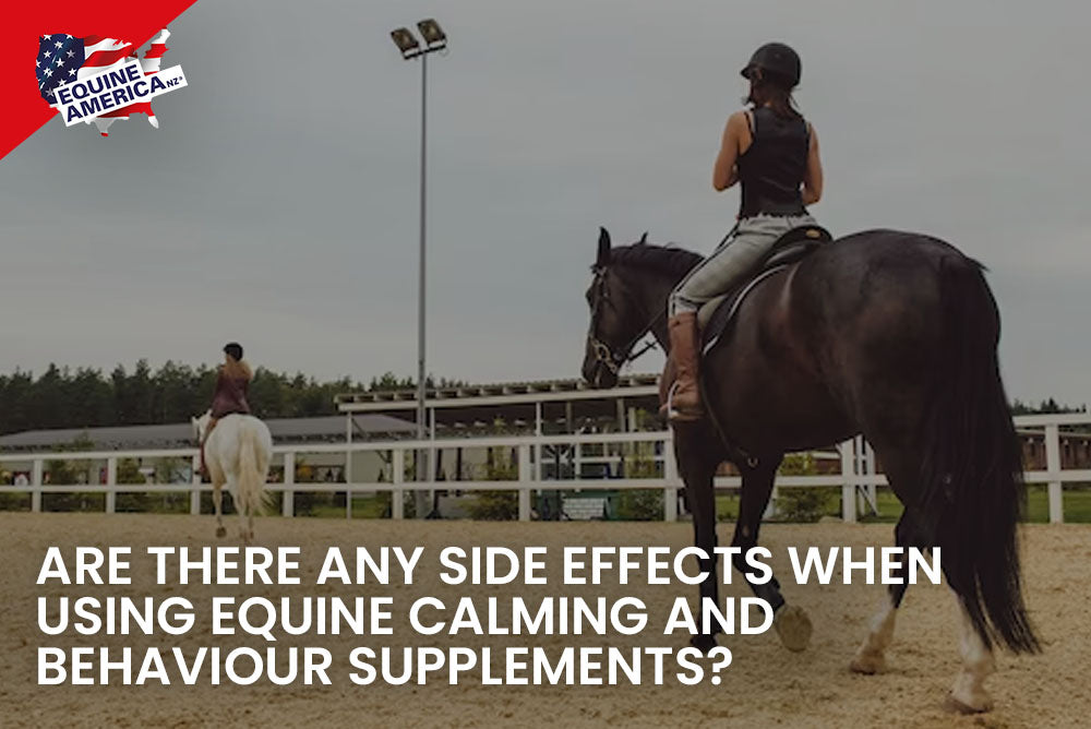 Equine Calming Supplements Benefits, Risks & Dosage Tips Equine