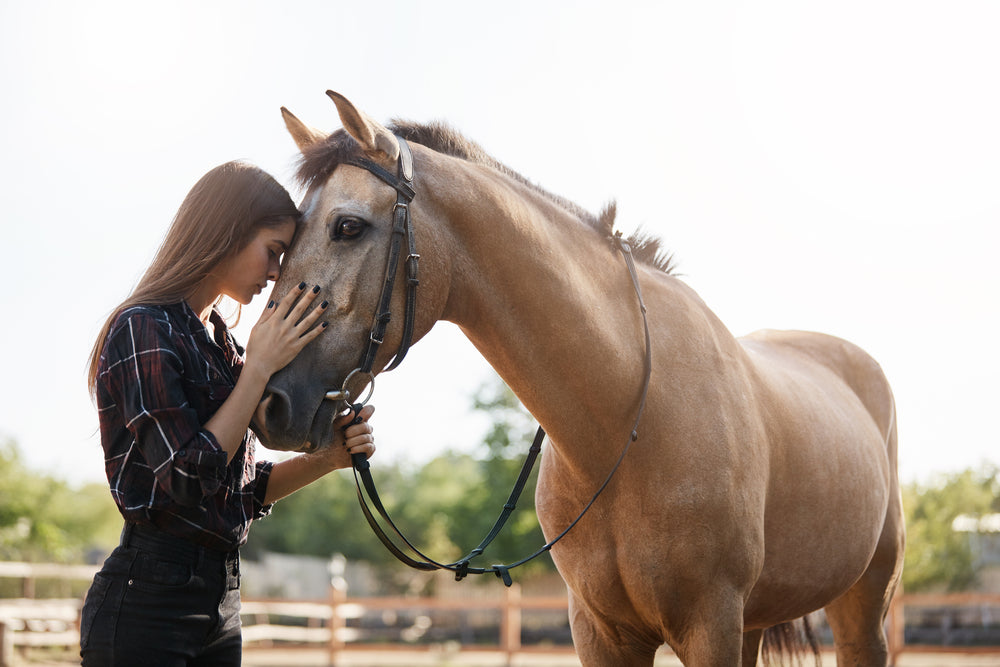 Benefits Of Calming & Behaviour Supplements For Horses