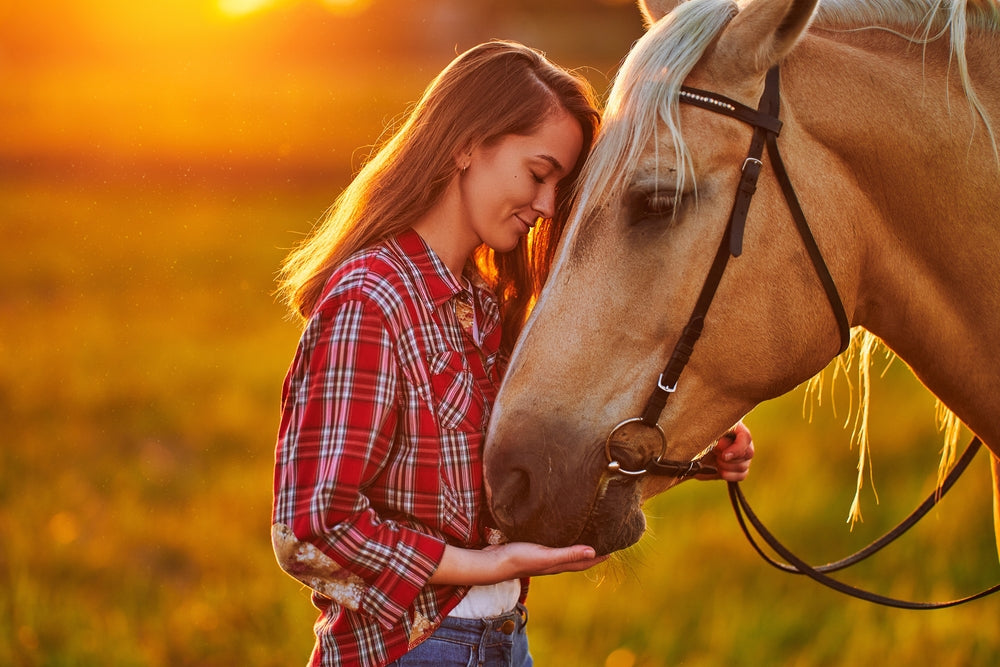 A Guide to Calming & Behaviour Supplements for Horses