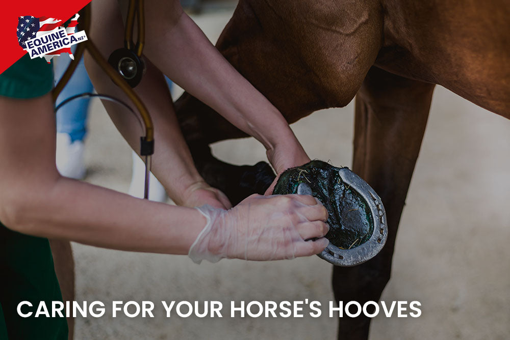 Caring for Your Horse's Hooves