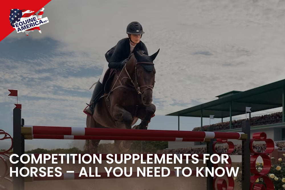 Competition Supplements for Horses – All You Need to Know