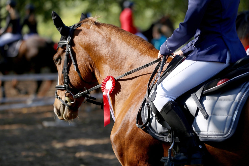 Can I Use Cortaflex For A Competition Horse?