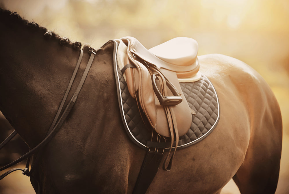 what is a monoflap dressage saddle