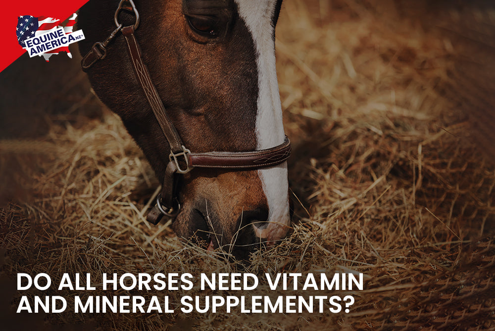 Do All Horses Need Vitamin and Mineral Supplements?