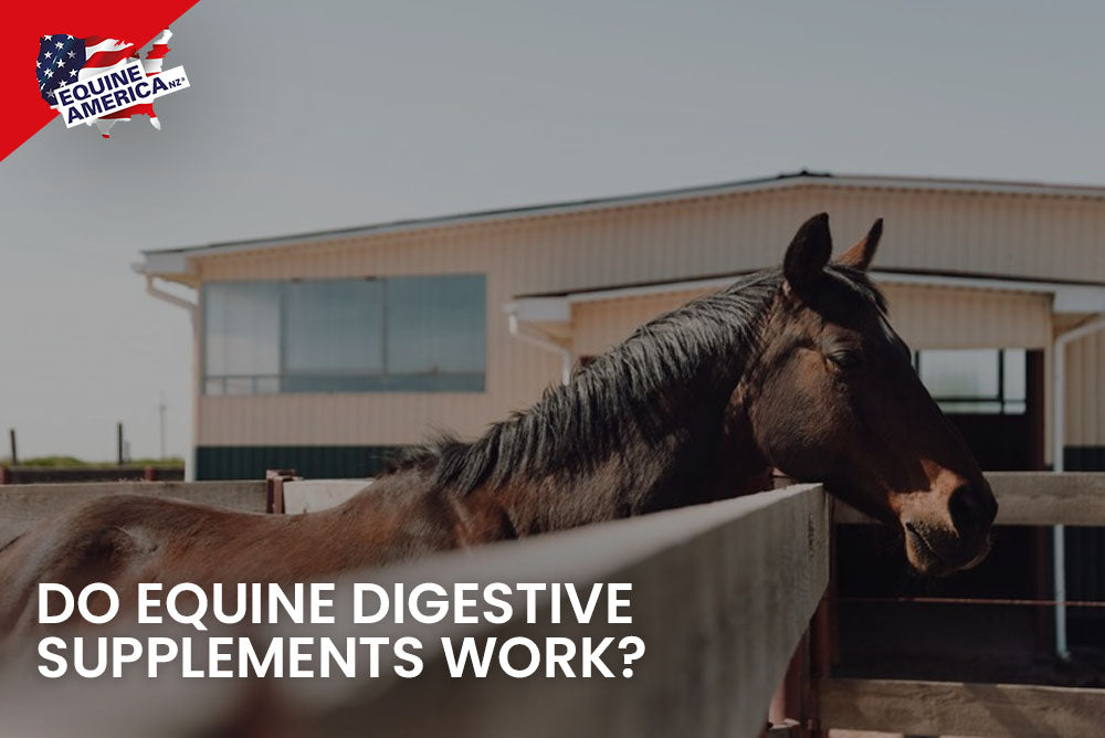 Do Equine Digestive Supplements work