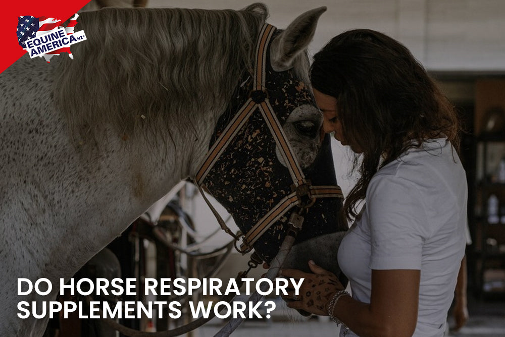 Do Horse Respiratory Supplements Work?