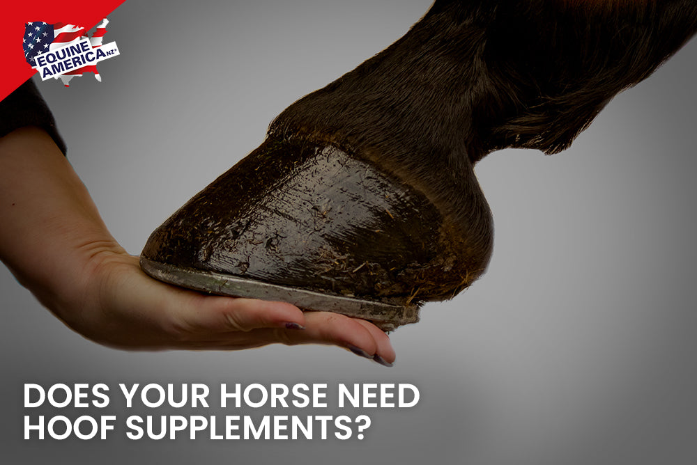 Does Your Horse Need Hoof Supplements?