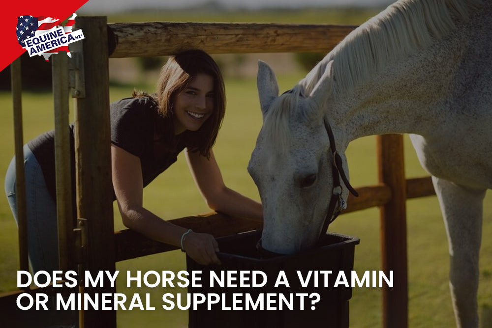 Does My Horse Need a Vitamin or Mineral Supplement