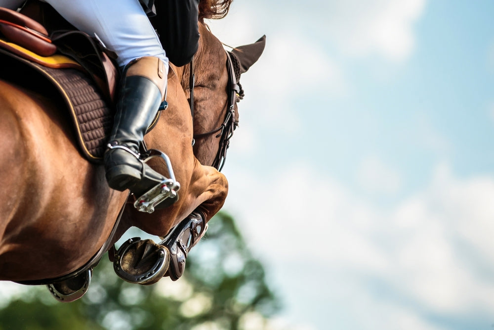 Equine Competition Supplements: When And Why Are They Needed?