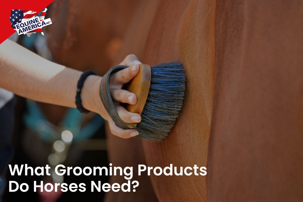 What Grooming Products Do Horses Need?