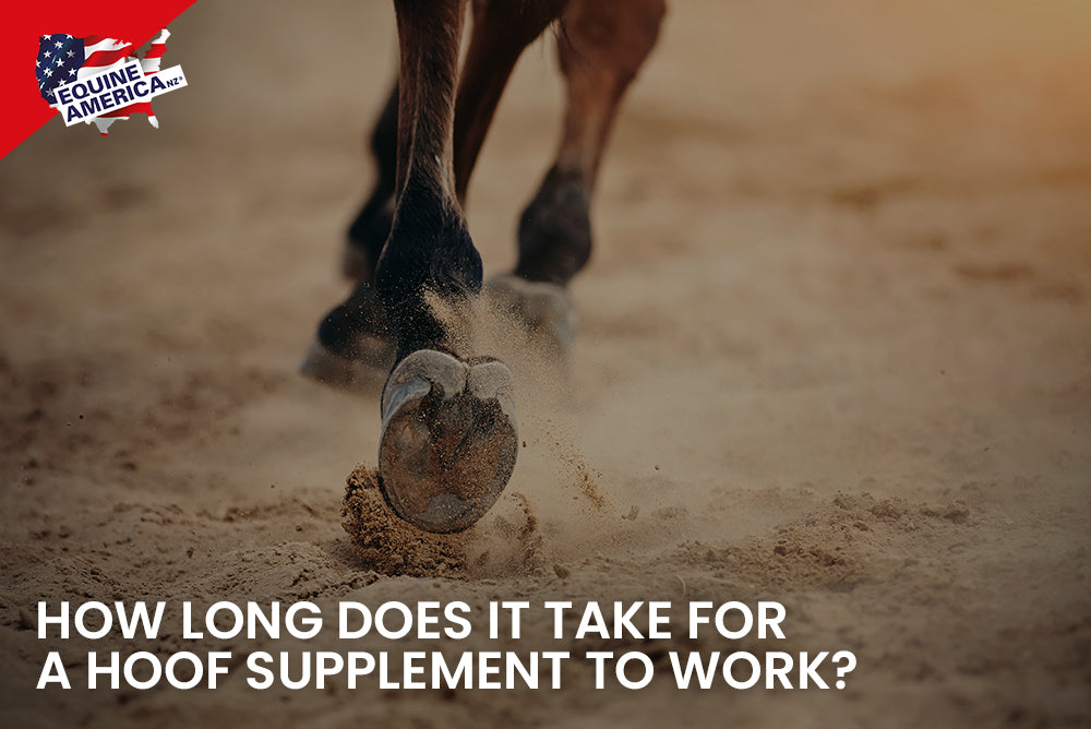 How Long Does It Take for a Hoof Supplement to Work?