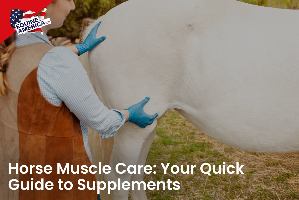 Horse Muscle Care: Your Quick Guide to Supplements