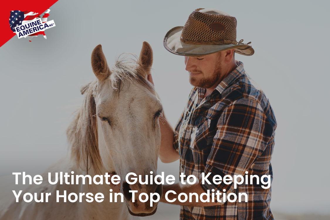 The Ultimate Guide to Keeping Your Horse in Top Condition