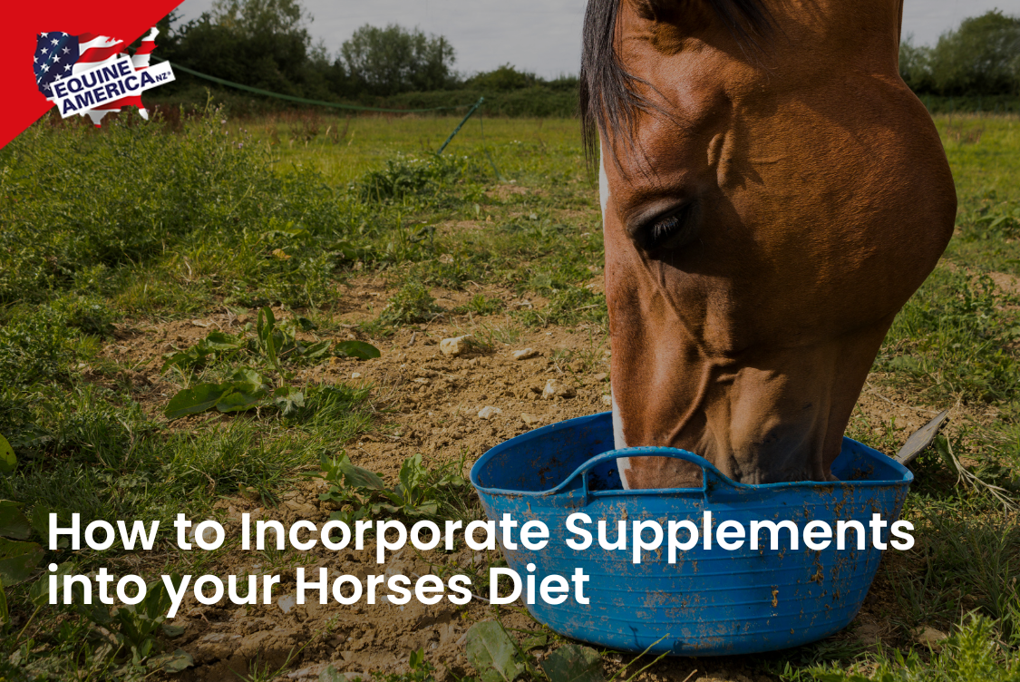 The Best Ways to Add Supplements to Your Horse’s Diet Equine America NZ