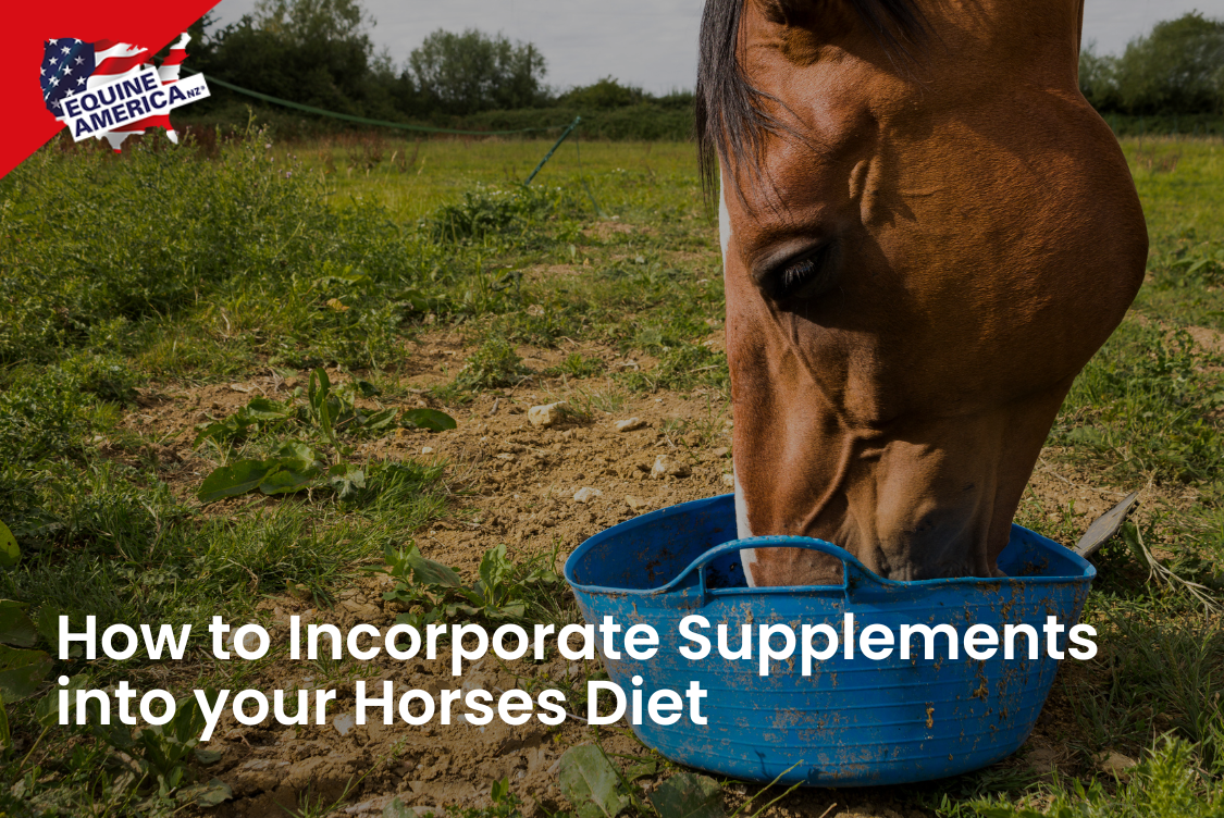 How to Incorporate Supplements into your Horses Diet