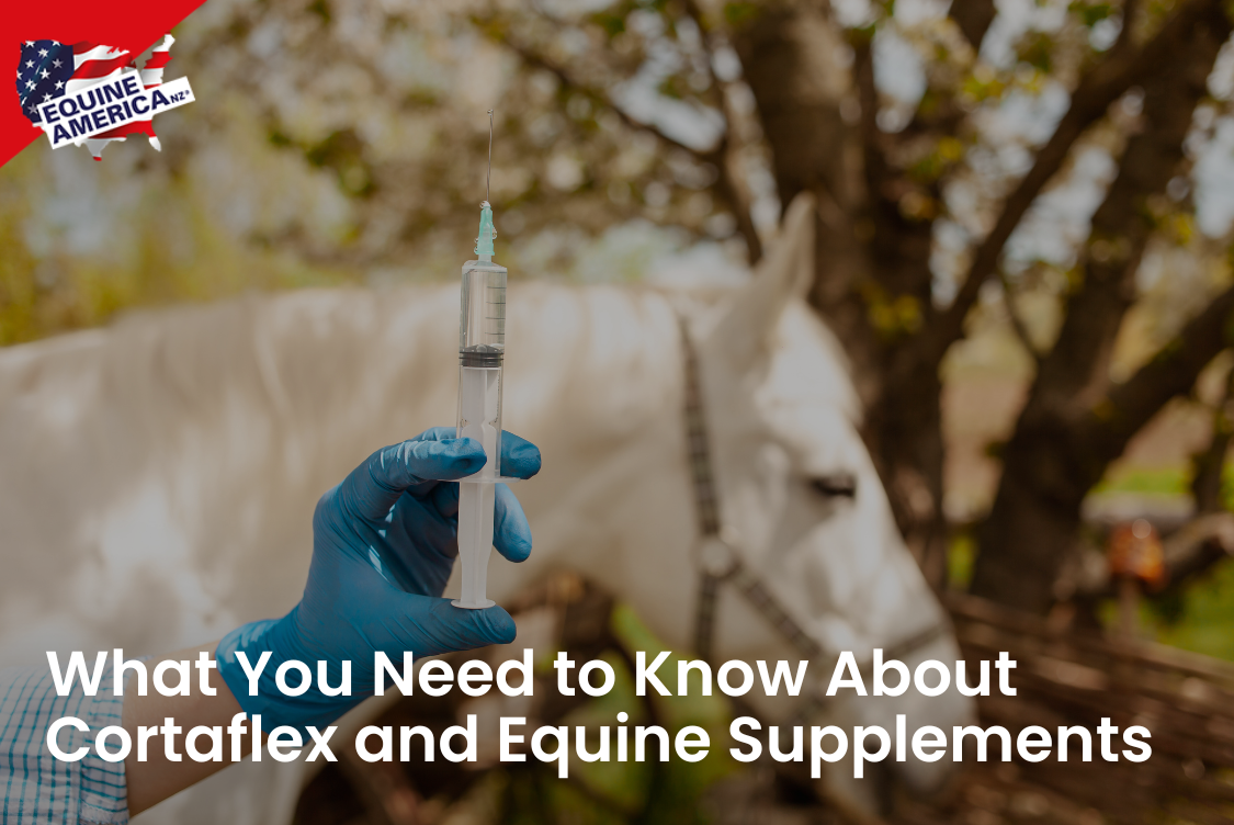 What You Need to Know About Cortaflex and Equine Supplements