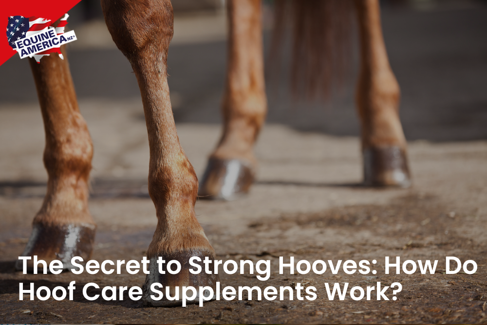 The Secret to Strong Hooves: How Do Hoof Care Supplements Work?