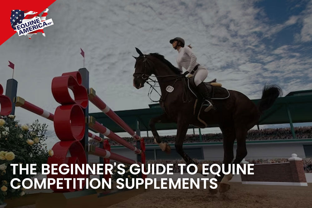 The Beginner's Guide to Equine Competition Supplements
