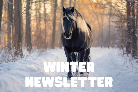 Winter Newsletter