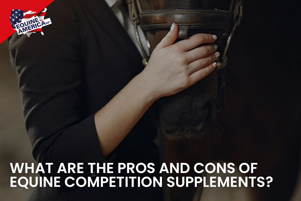 What Are The Pros And Cons Of Equine Competition Supplements?