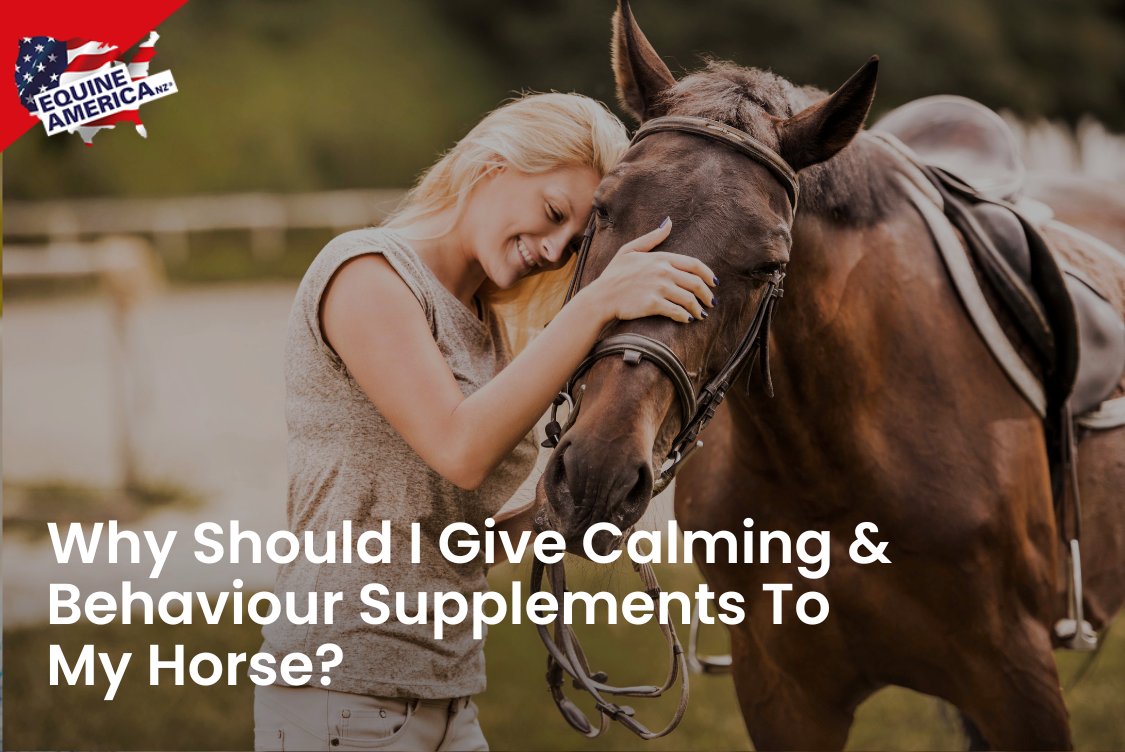 Why Should I Give Calming & Behaviour Supplements To My Horse?