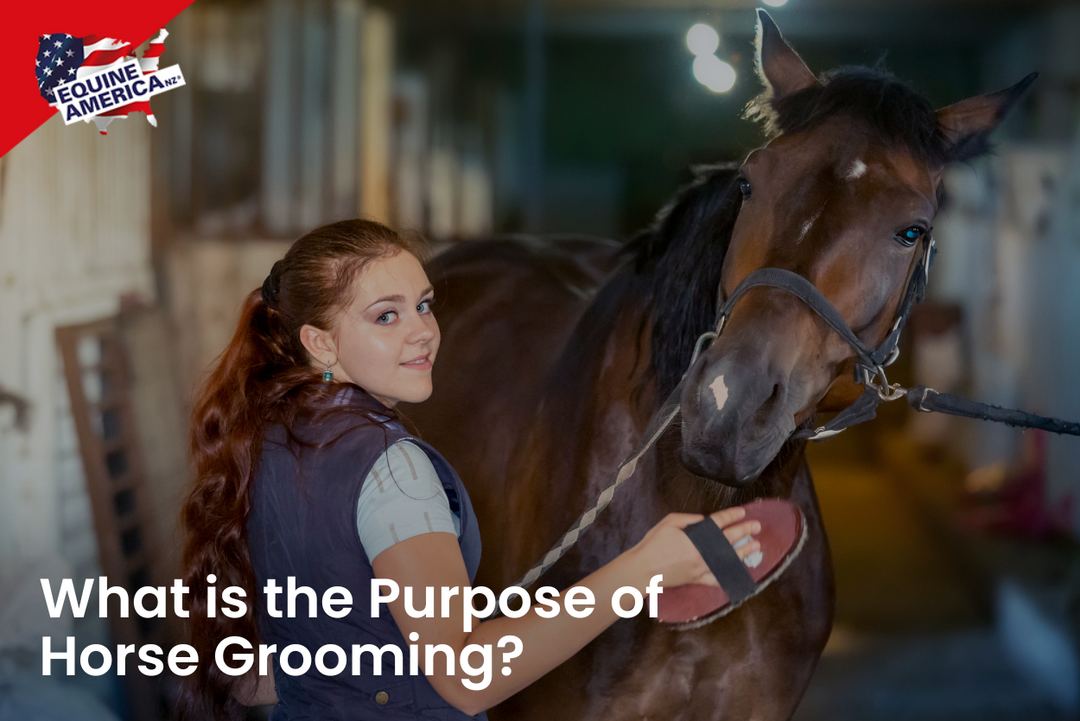 What is the Purpose of Horse Grooming?