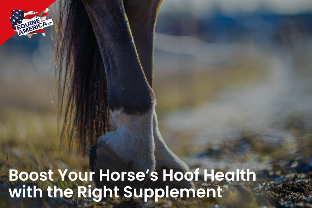 Boost Your Horse’s Hoof Health with the Right Supplement