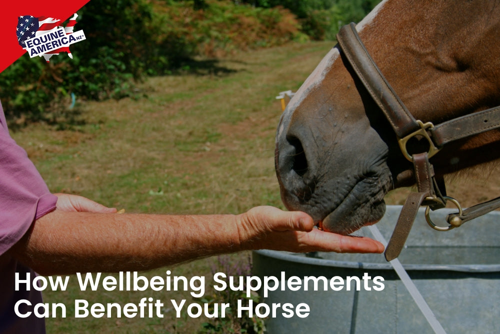 How Wellbeing Supplements Can Benefit Your Horse