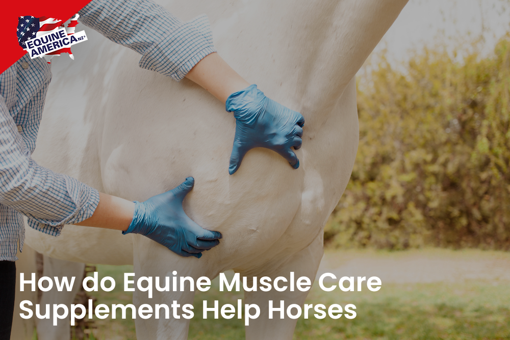 How do Equine Muscle Care Supplements Help Horses