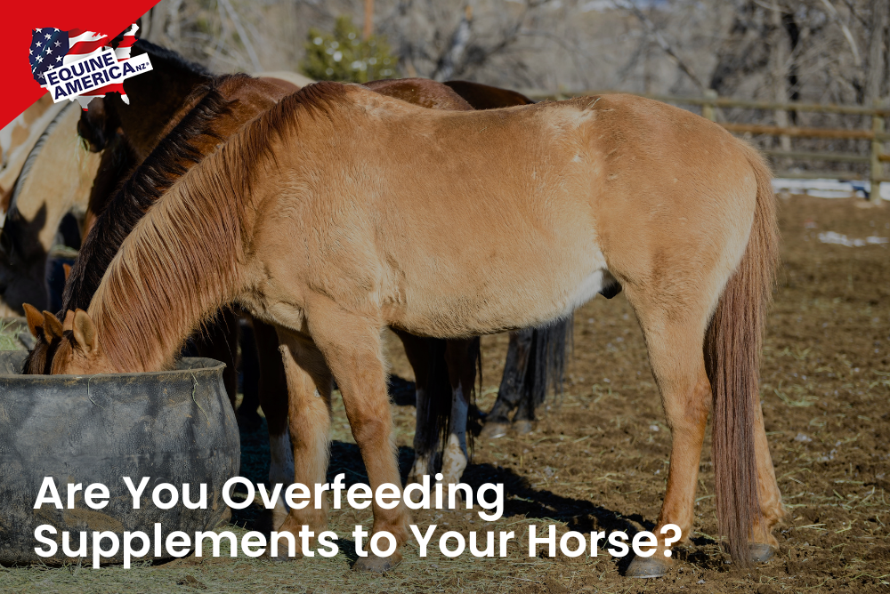 Are You Overfeeding Supplements to Your Horse?