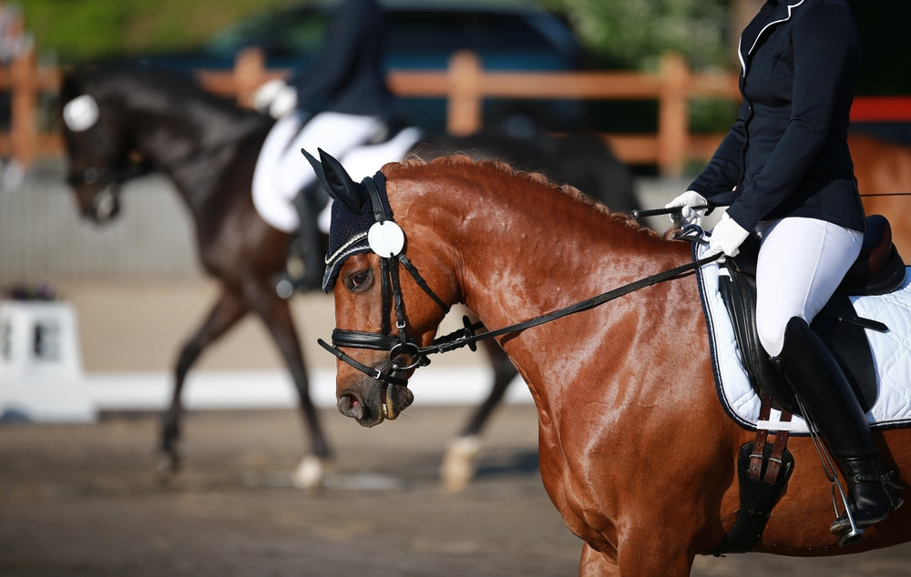 Dressage: Competition Gear Must-Haves