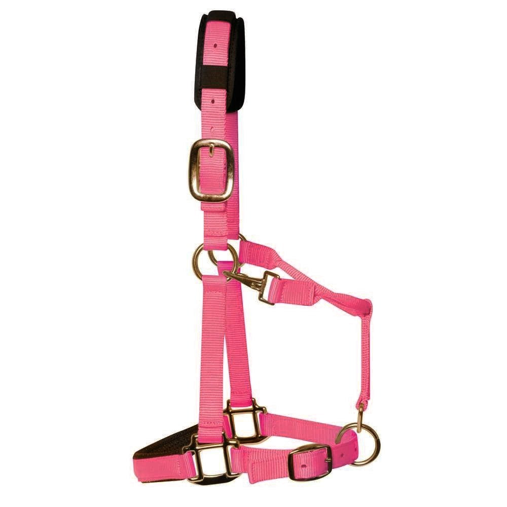 KM Elite Luxury Padded Head Collar