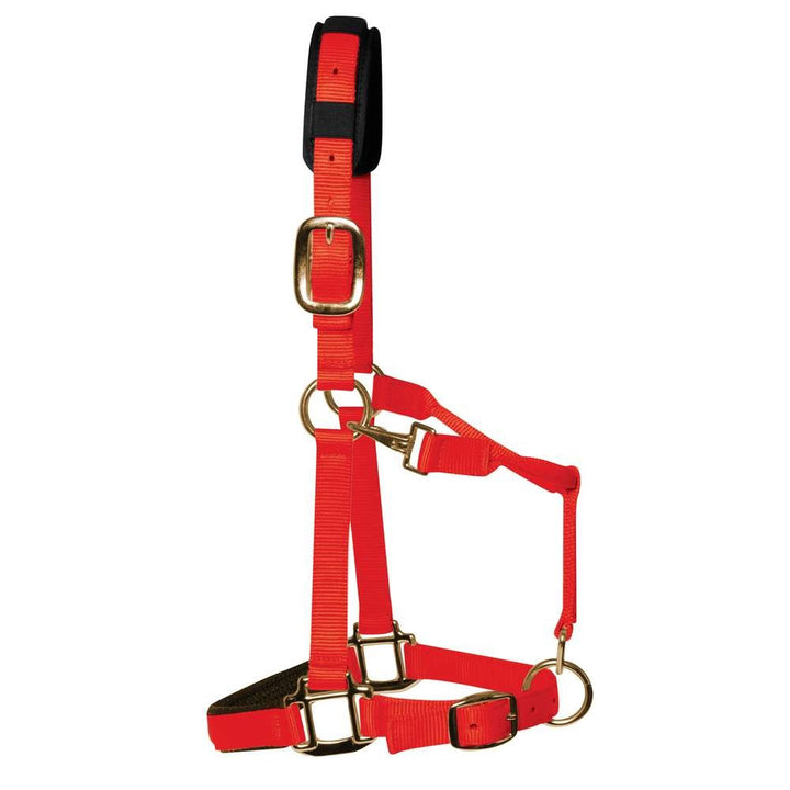 KM Elite Luxury Padded Head Collar