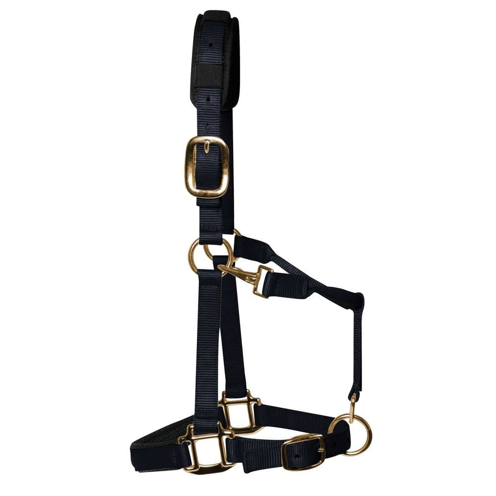 KM Elite Luxury Padded Head Collar