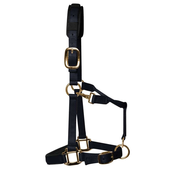 KM Elite Luxury Padded Head Collar