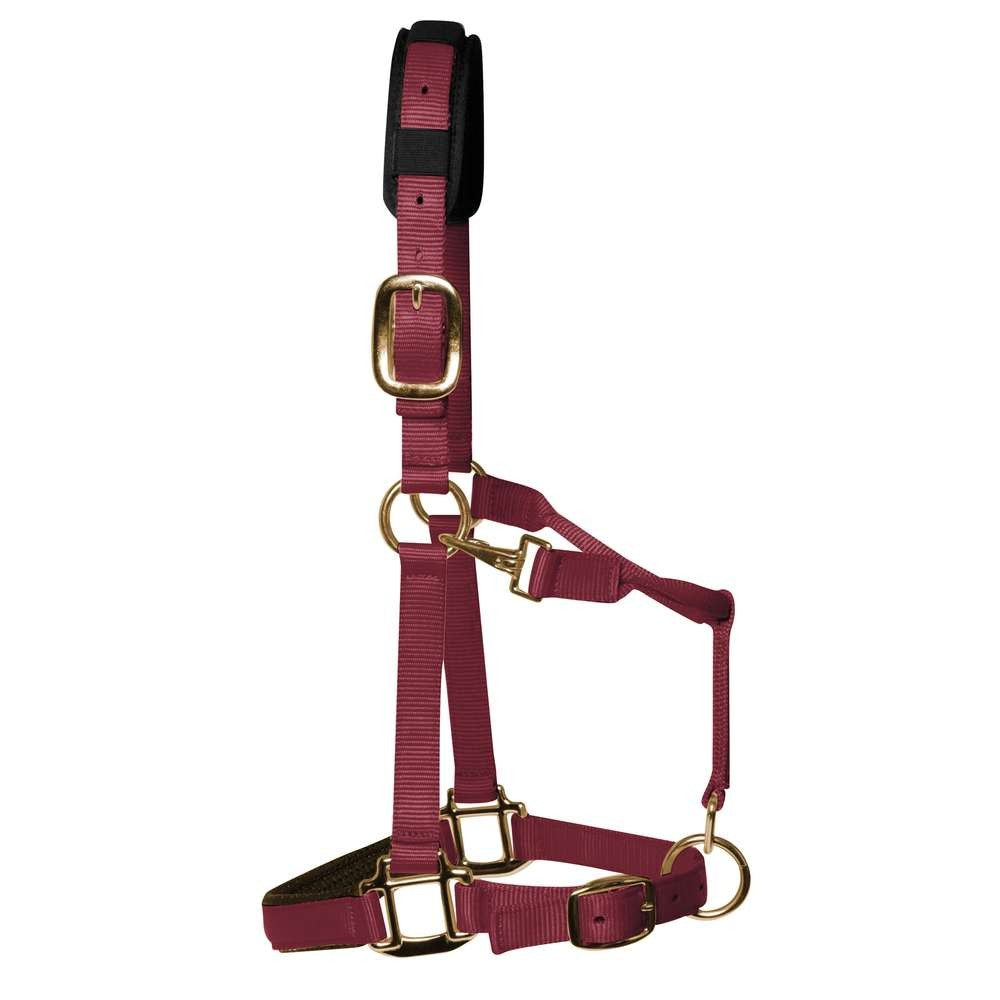 KM Elite Luxury Padded Head Collar