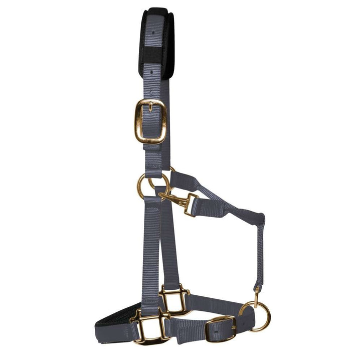 KM Elite Luxury Padded Head Collar