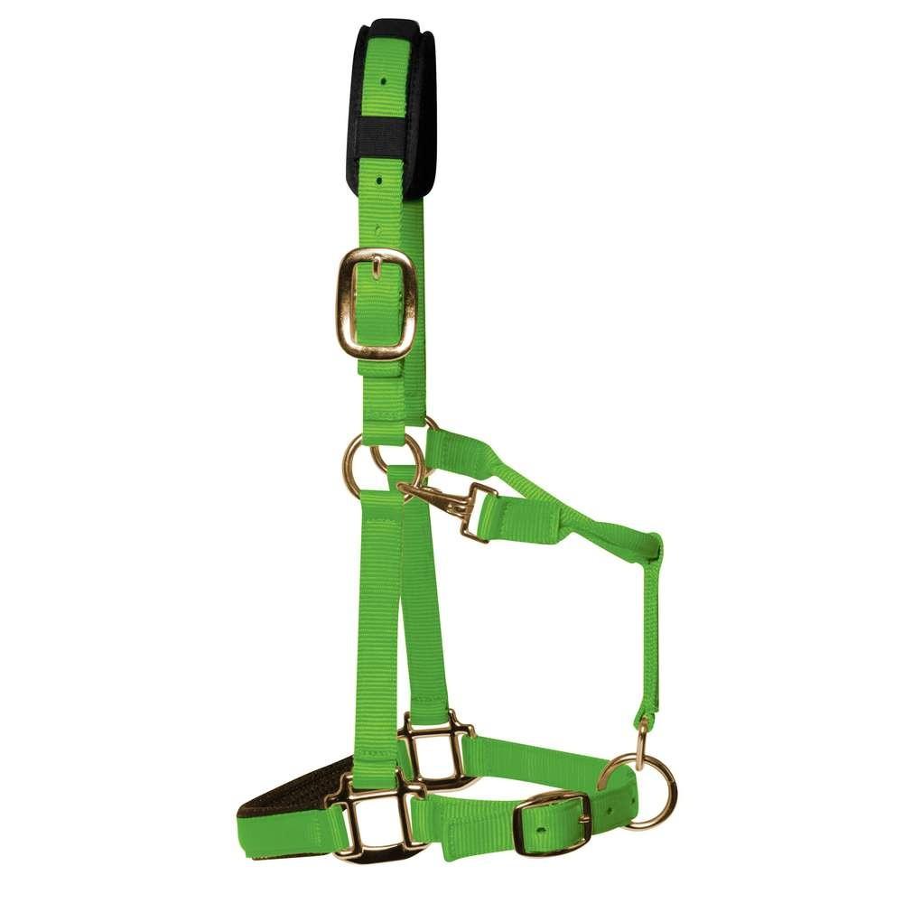 KM Elite Luxury Padded Head Collar