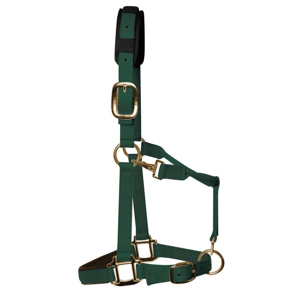 KM Elite Luxury Padded Head Collar