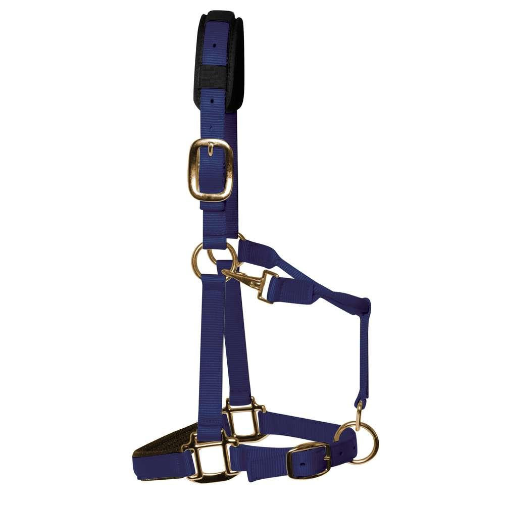 KM Elite Luxury Padded Head Collar