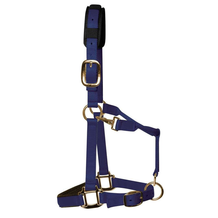 KM Elite Luxury Padded Head Collar