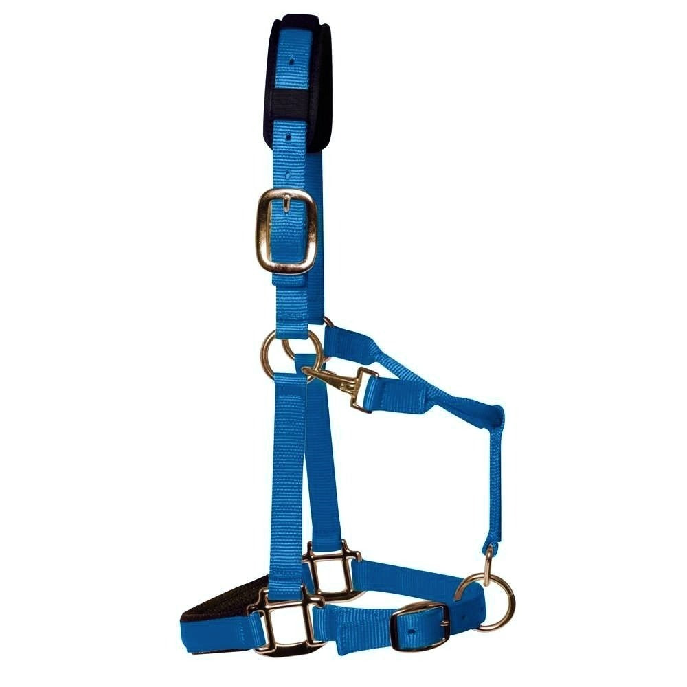 KM Elite Luxury Padded Head Collar