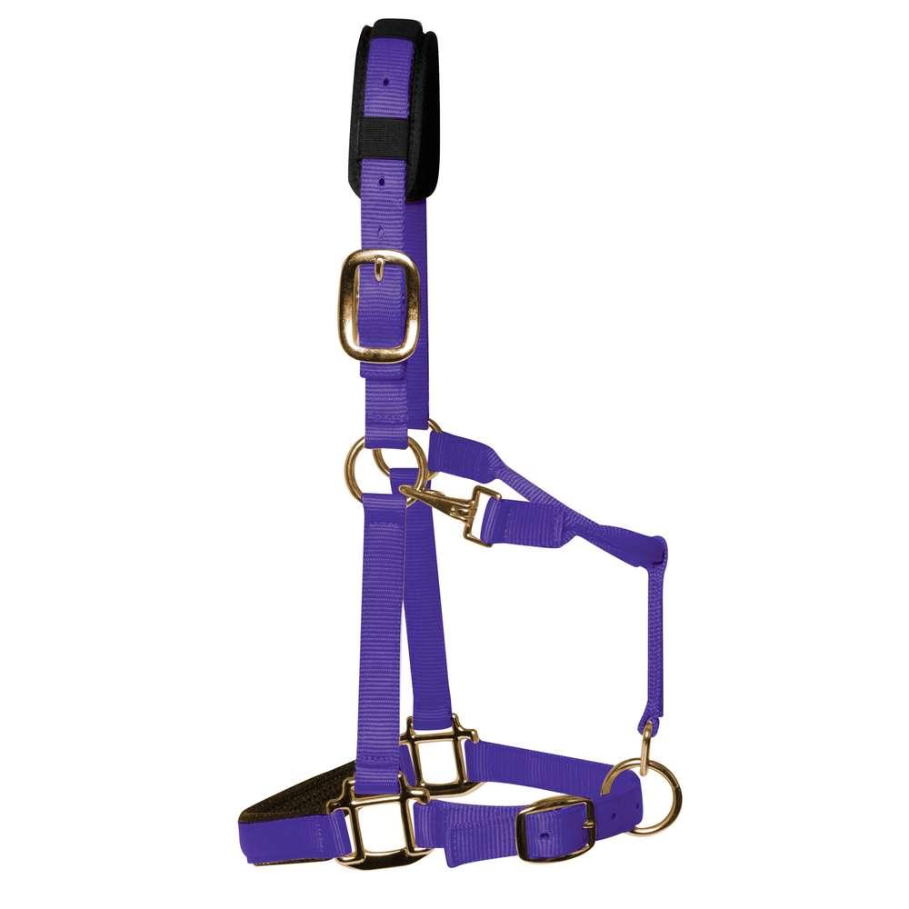 KM Elite Luxury Padded Head Collar
