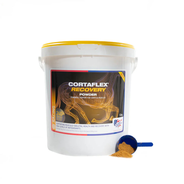 Cortaflex Recovery Powder