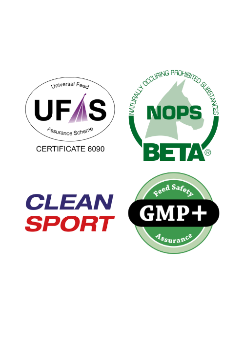 Equine America NZ: Horse Supplements & Equine Products Online
